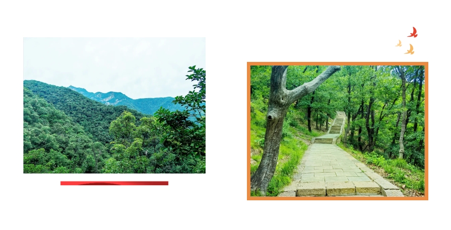 1722433451548212.jpg 微信截图_20240731214352.jpg